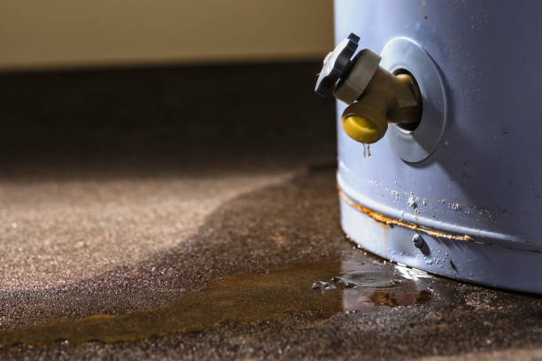Trusted DE Water damage restoration Experts