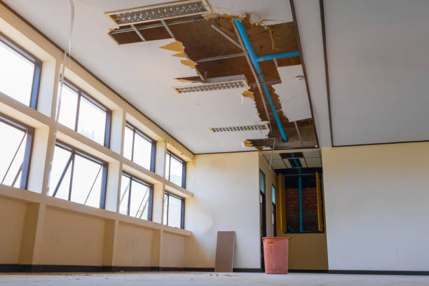 Best 24-hour water damage restoration  in Laurel, DE