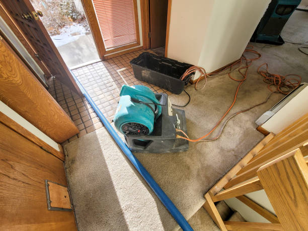 Water damage restoration process in DE