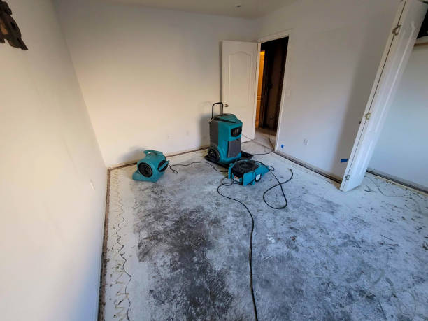 Best Sewage cleanup and water damage restoration  in Laurel, DE