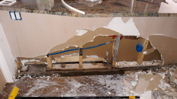 Best Water damage restoration specialists  in Laurel, DE